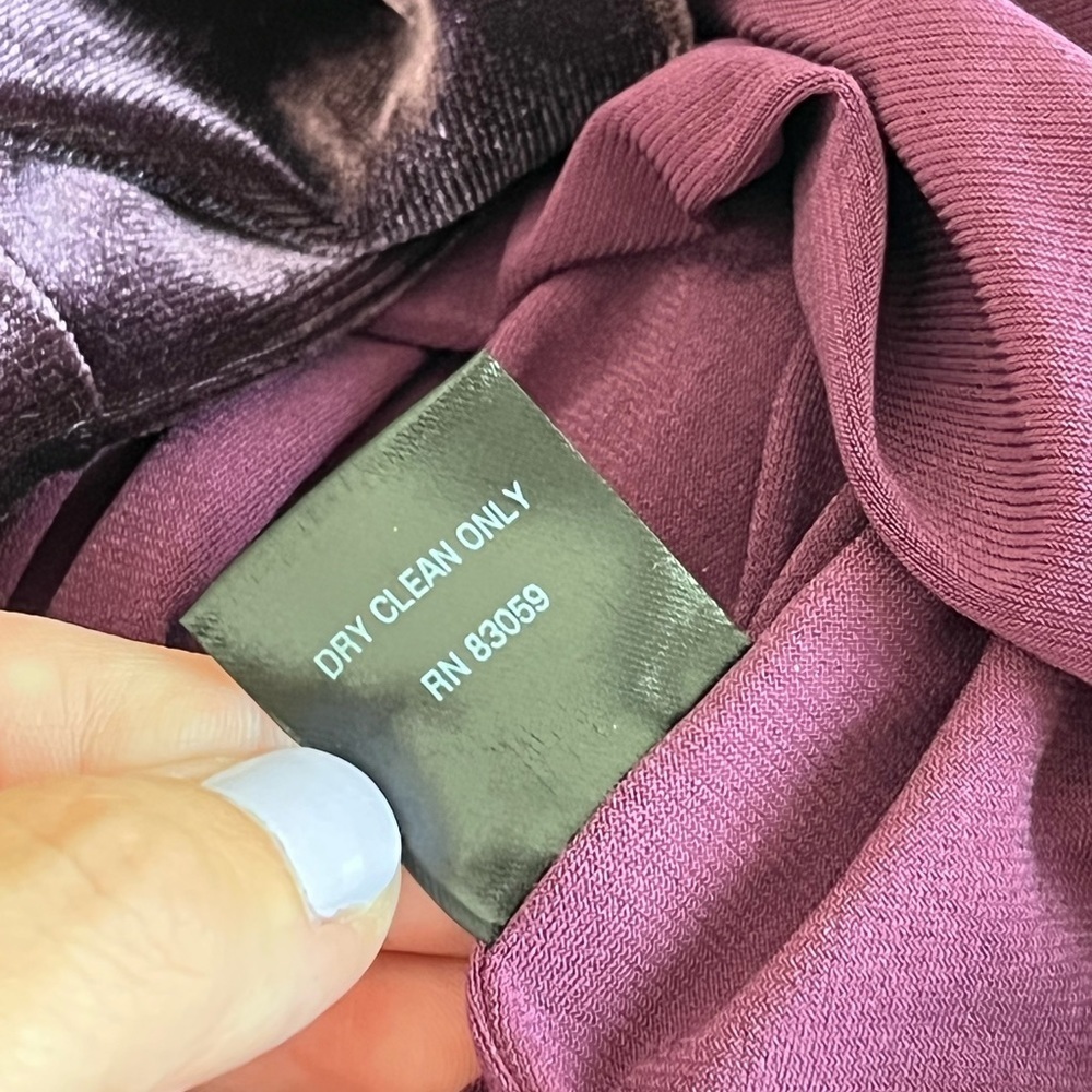 Drew Velour Ruched Dress - Picture 9 of 12